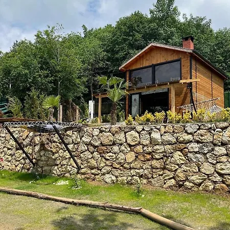 Sapanca Vivalavida Dagevi *