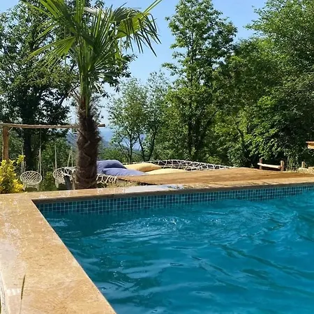 Sapanca Vivalavida Dagevi